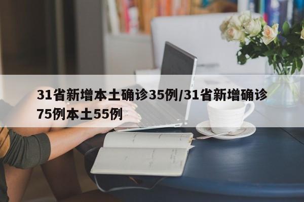 31省新增本土确诊35例/31省新增确诊75例本土55例
