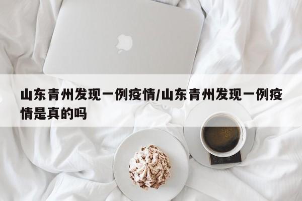 山东青州发现一例疫情/山东青州发现一例疫情是真的吗