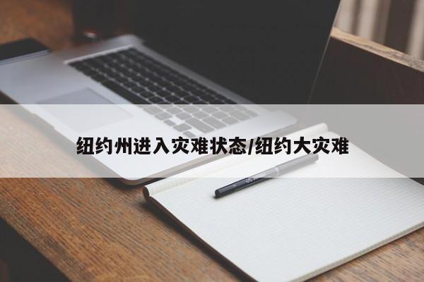 纽约州进入灾难状态/纽约大灾难