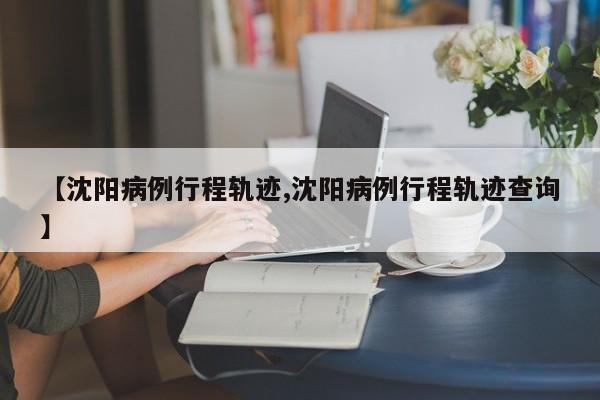 【沈阳病例行程轨迹,沈阳病例行程轨迹查询】